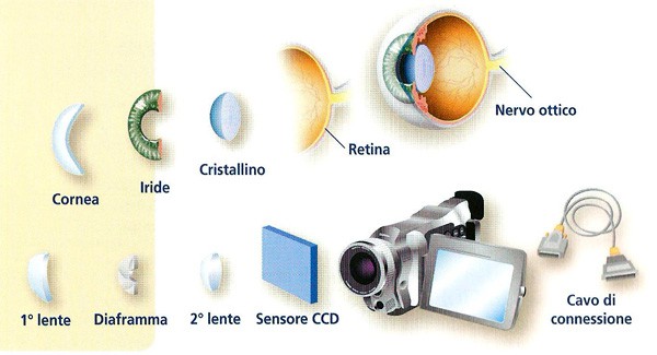 Occhio umano e fotocamera: tantissimi i punti in comune