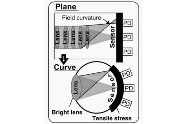 Come la luce incide sul sensore curvo rispetto ad un sensore piano