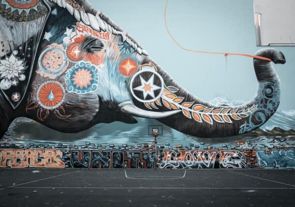 Multi colored elephant graffiti